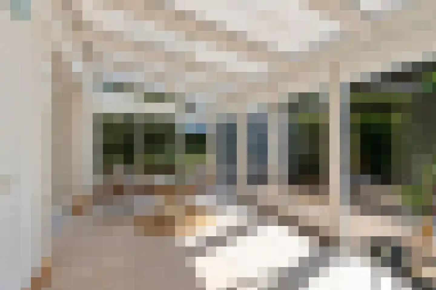 De Misse 1 Berlicum thumbnail 19