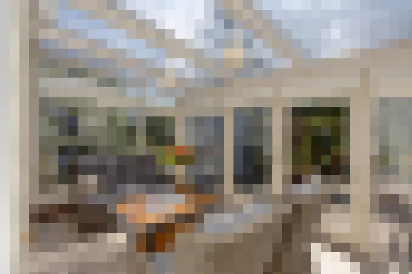 De Misse 1 Berlicum thumbnail 19