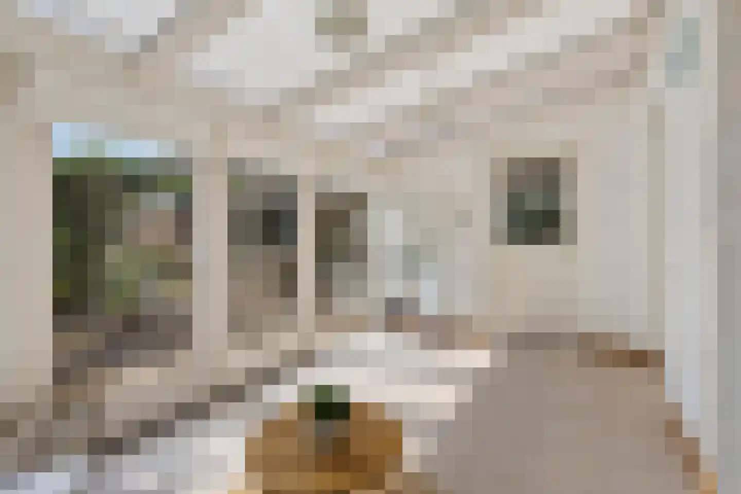 De Misse 1 Berlicum thumbnail 20
