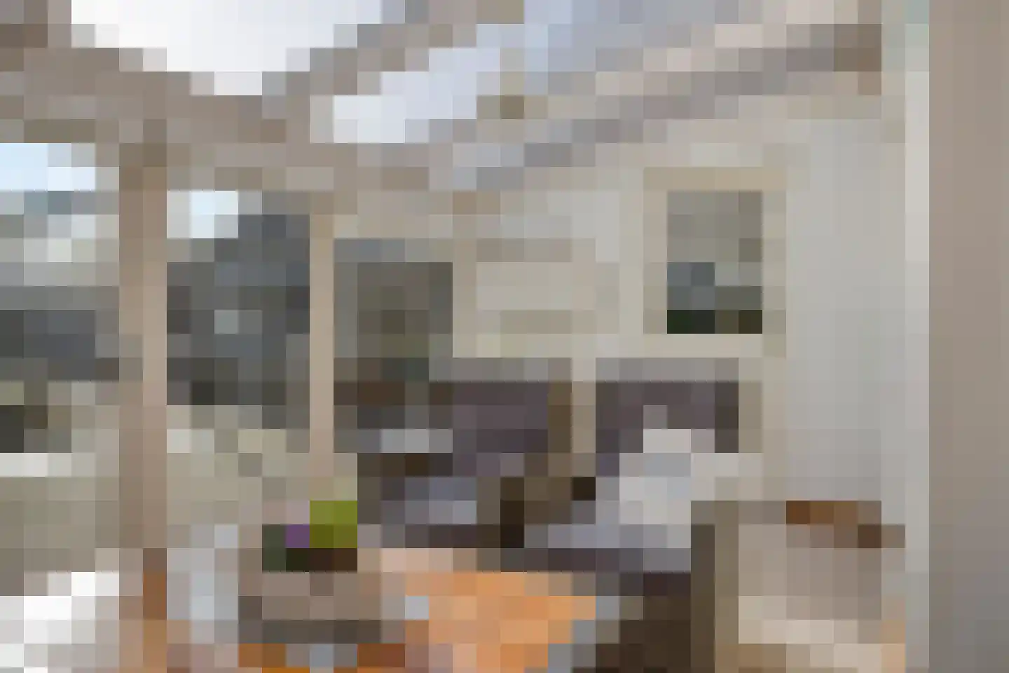 De Misse 1 Berlicum thumbnail 21