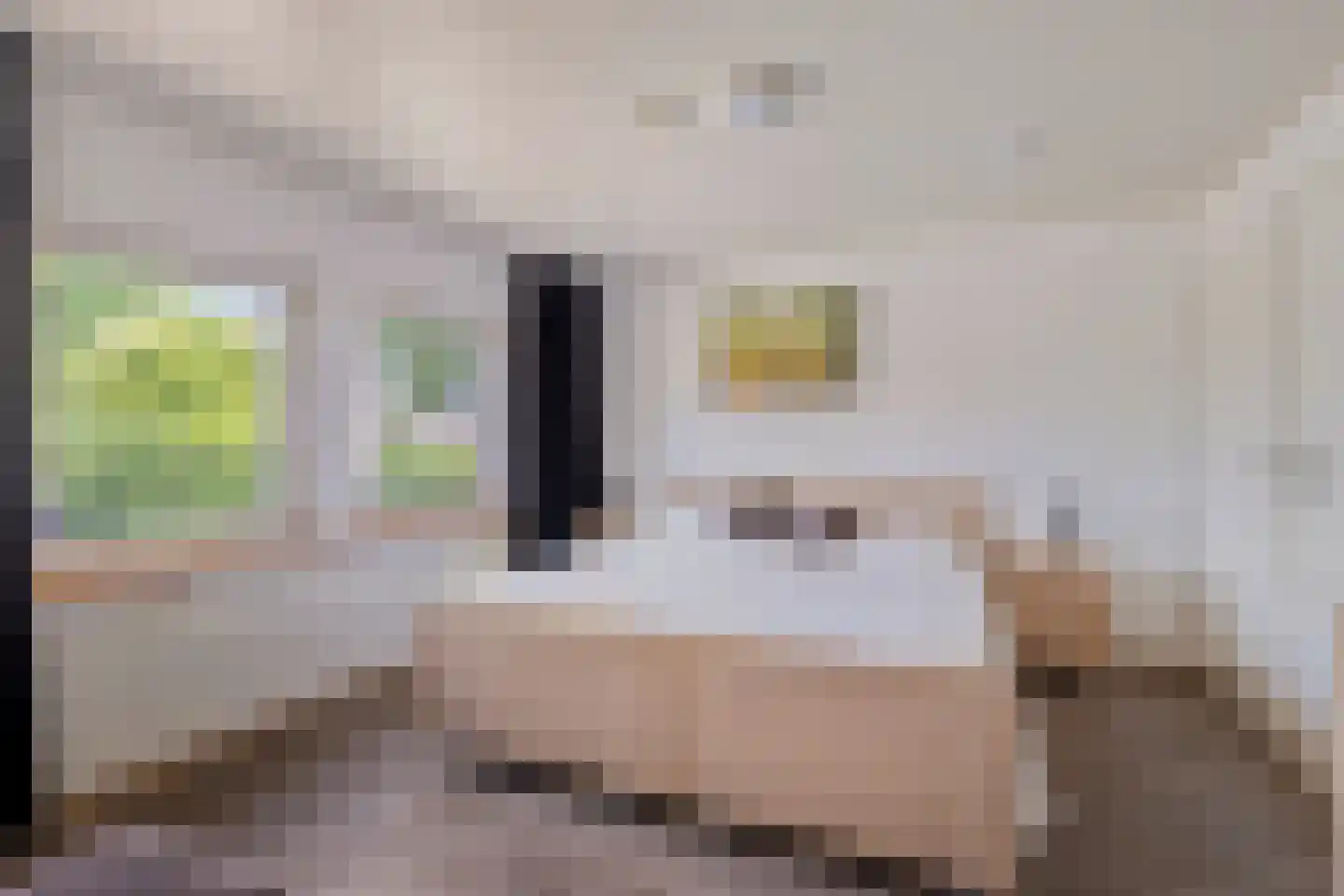 De Misse 1 Berlicum thumbnail 23