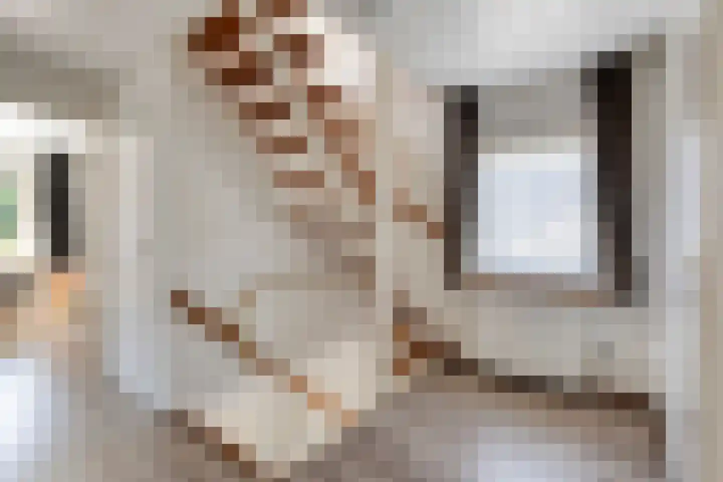 De Misse 1 Berlicum thumbnail 24