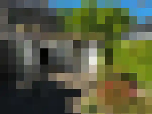 De Misse 1 Berlicum thumbnail 25