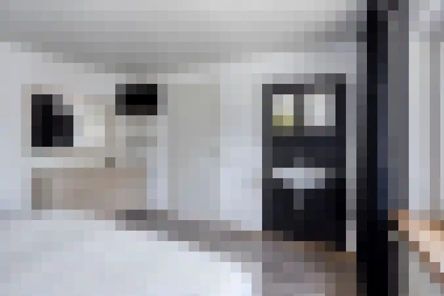 De Misse 1 Berlicum thumbnail 25