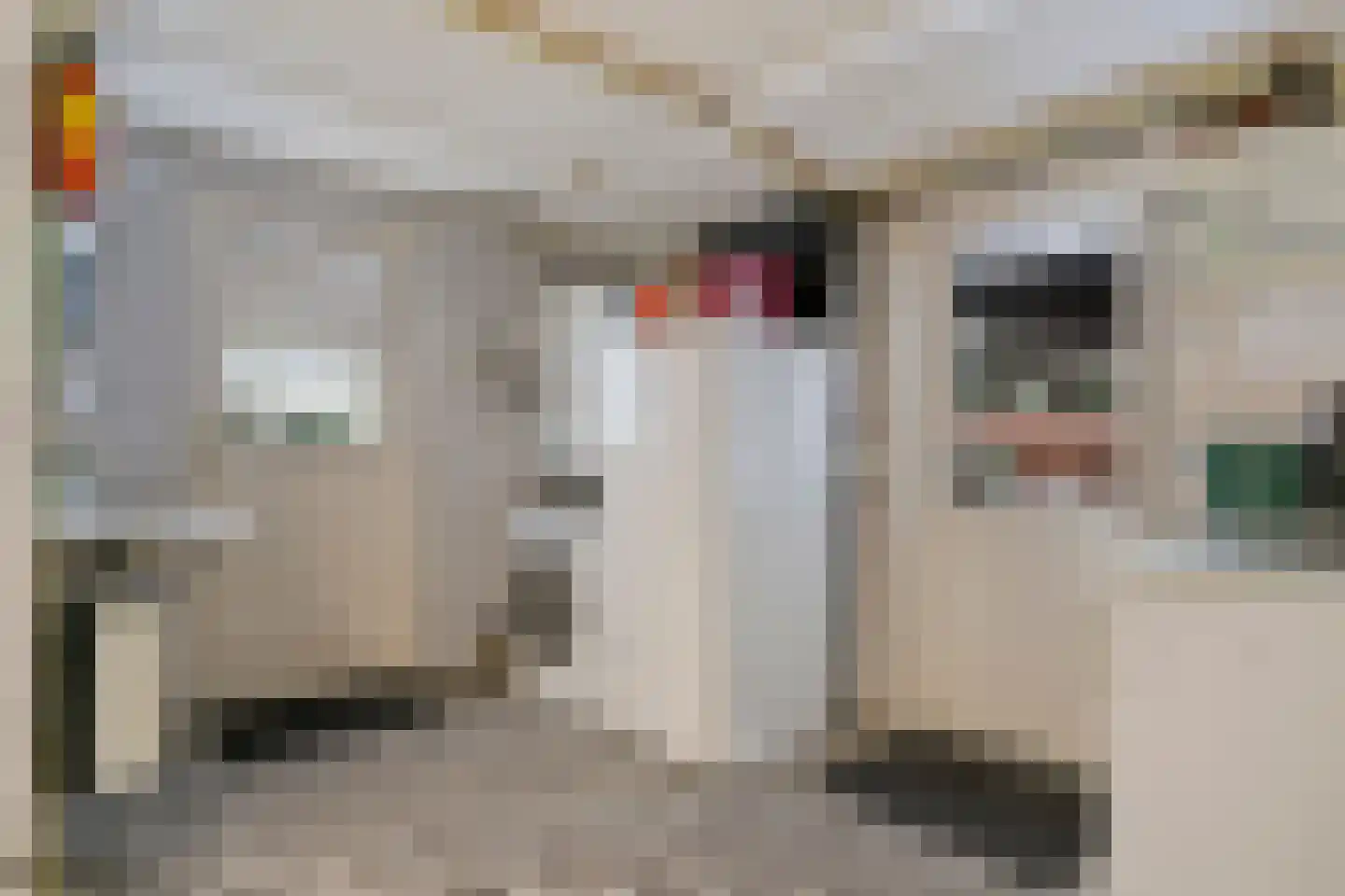 De Misse 1 Berlicum thumbnail 26