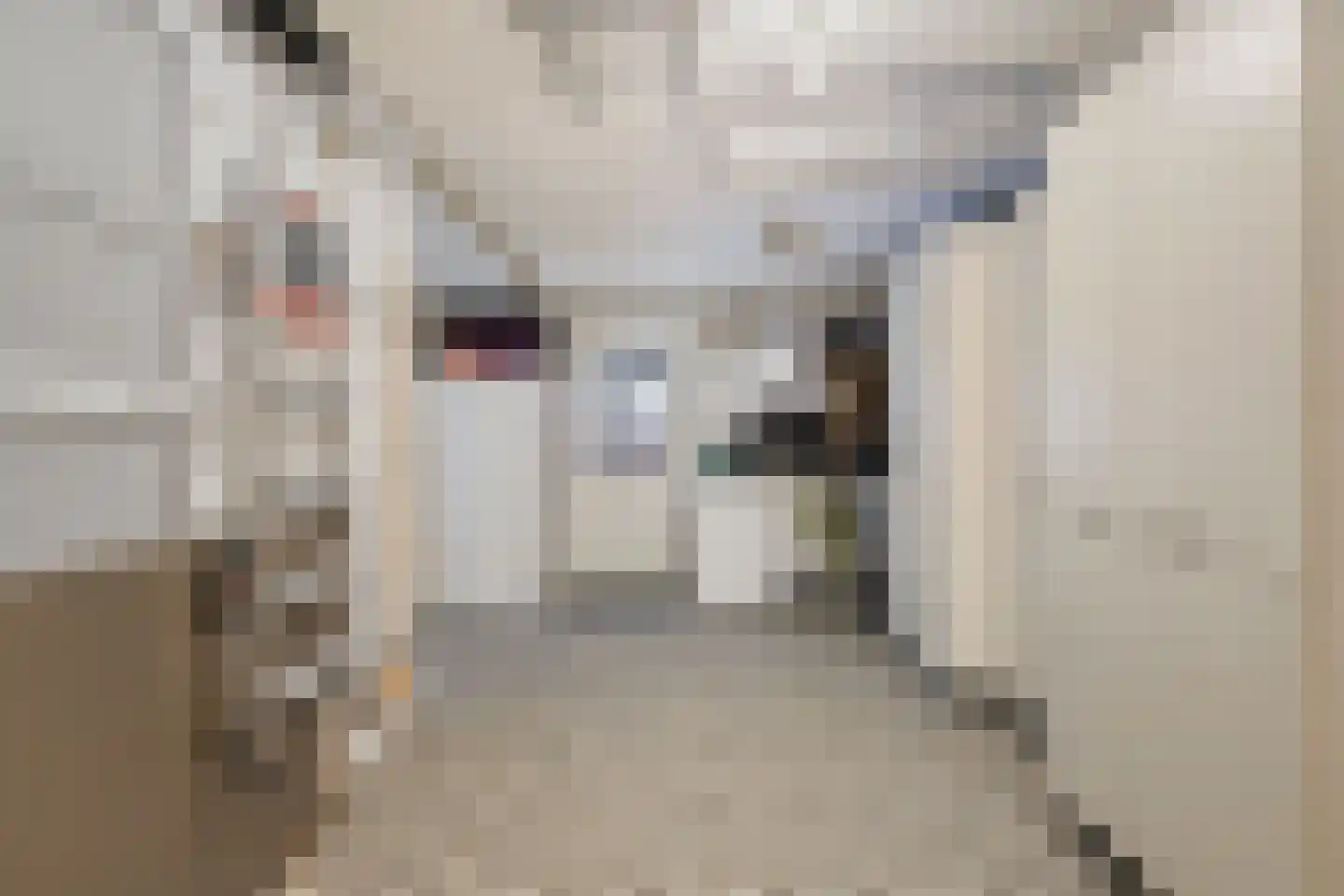 De Misse 1 Berlicum thumbnail 27