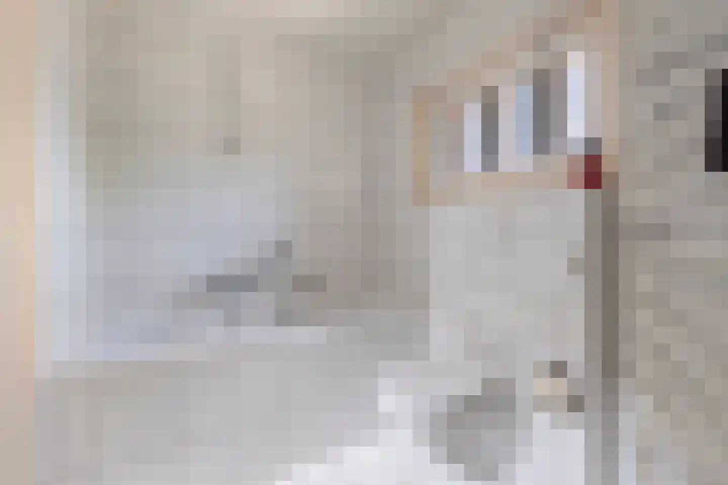 De Misse 1 Berlicum thumbnail 28