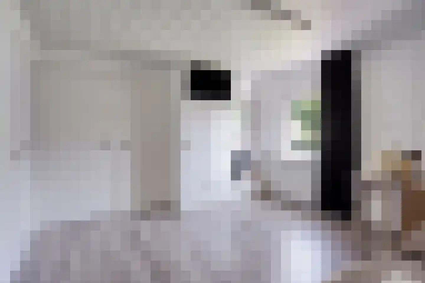 De Misse 1 Berlicum thumbnail 28