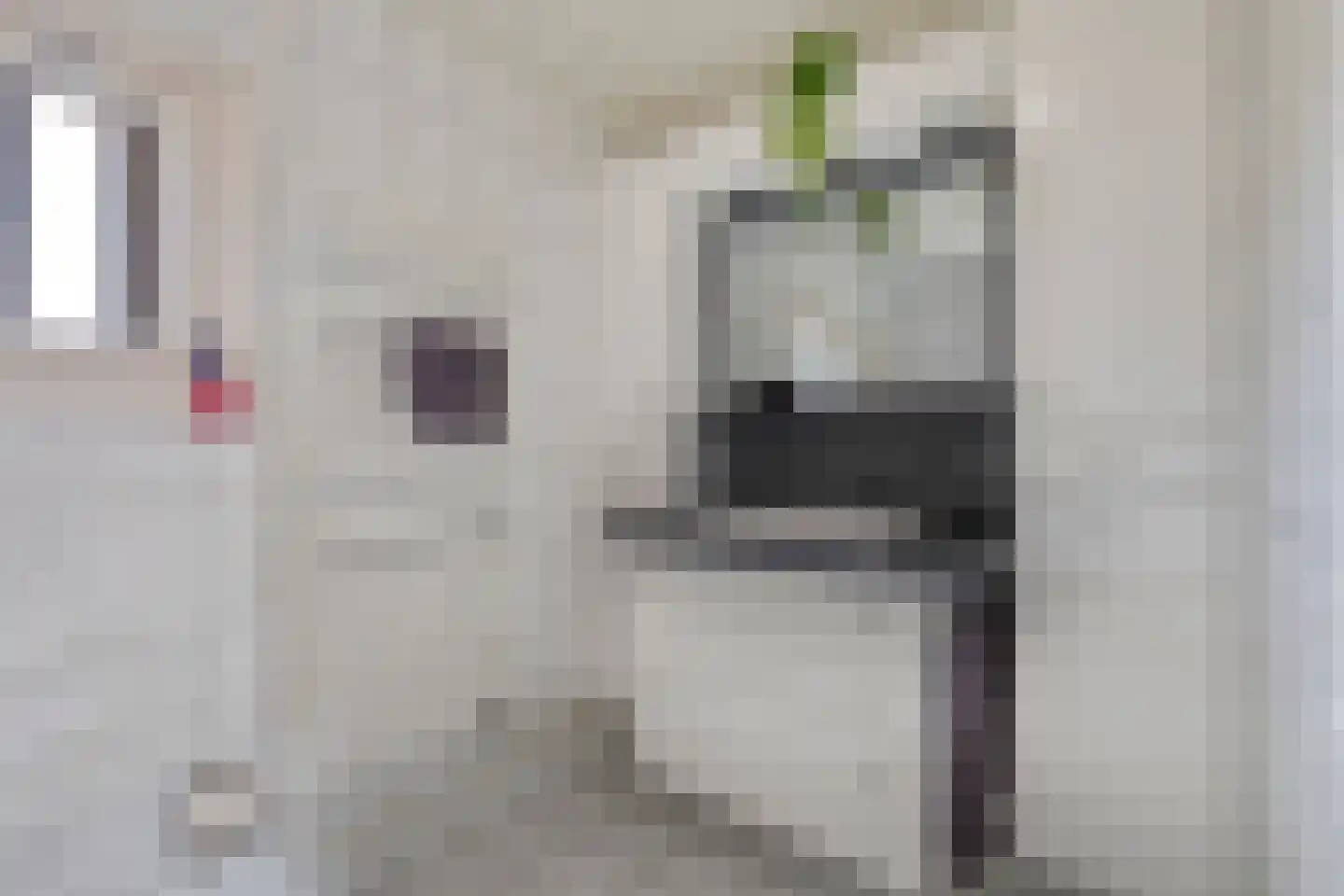 De Misse 1 Berlicum thumbnail 29
