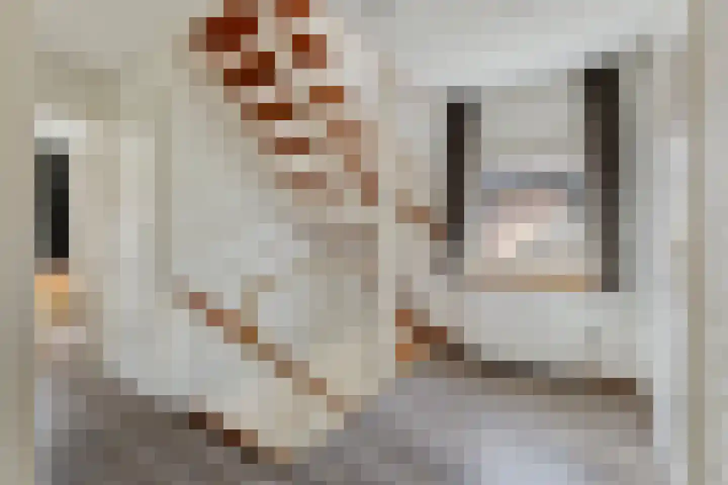 De Misse 1 Berlicum thumbnail 30