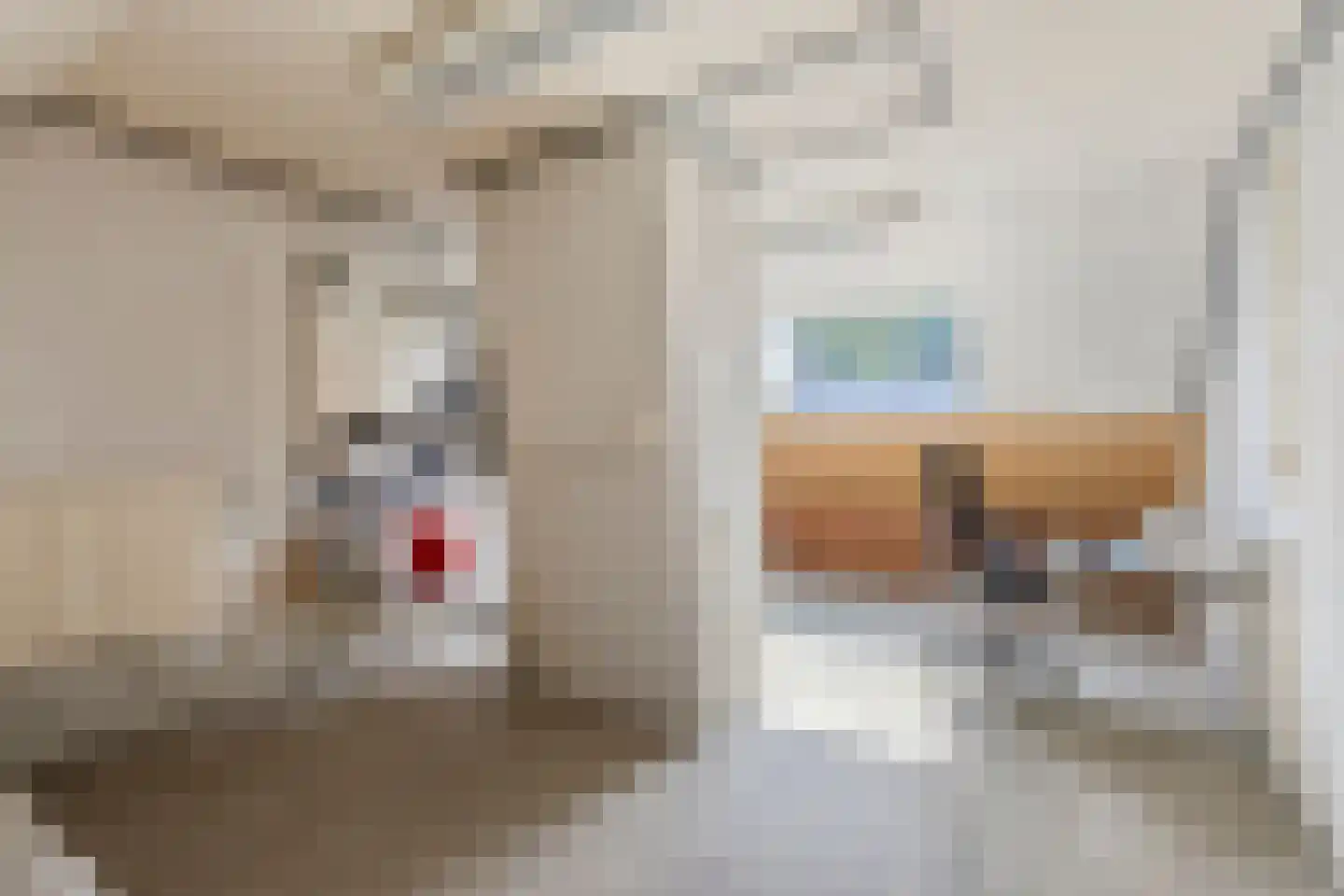 De Misse 1 Berlicum thumbnail 31