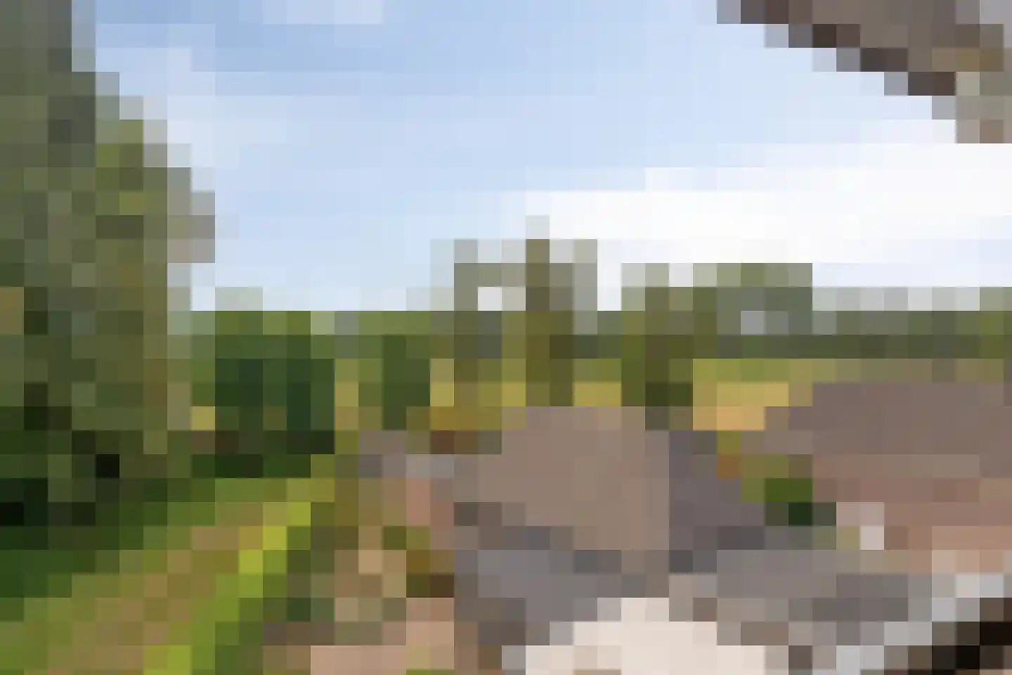 De Misse 1 Berlicum thumbnail 32