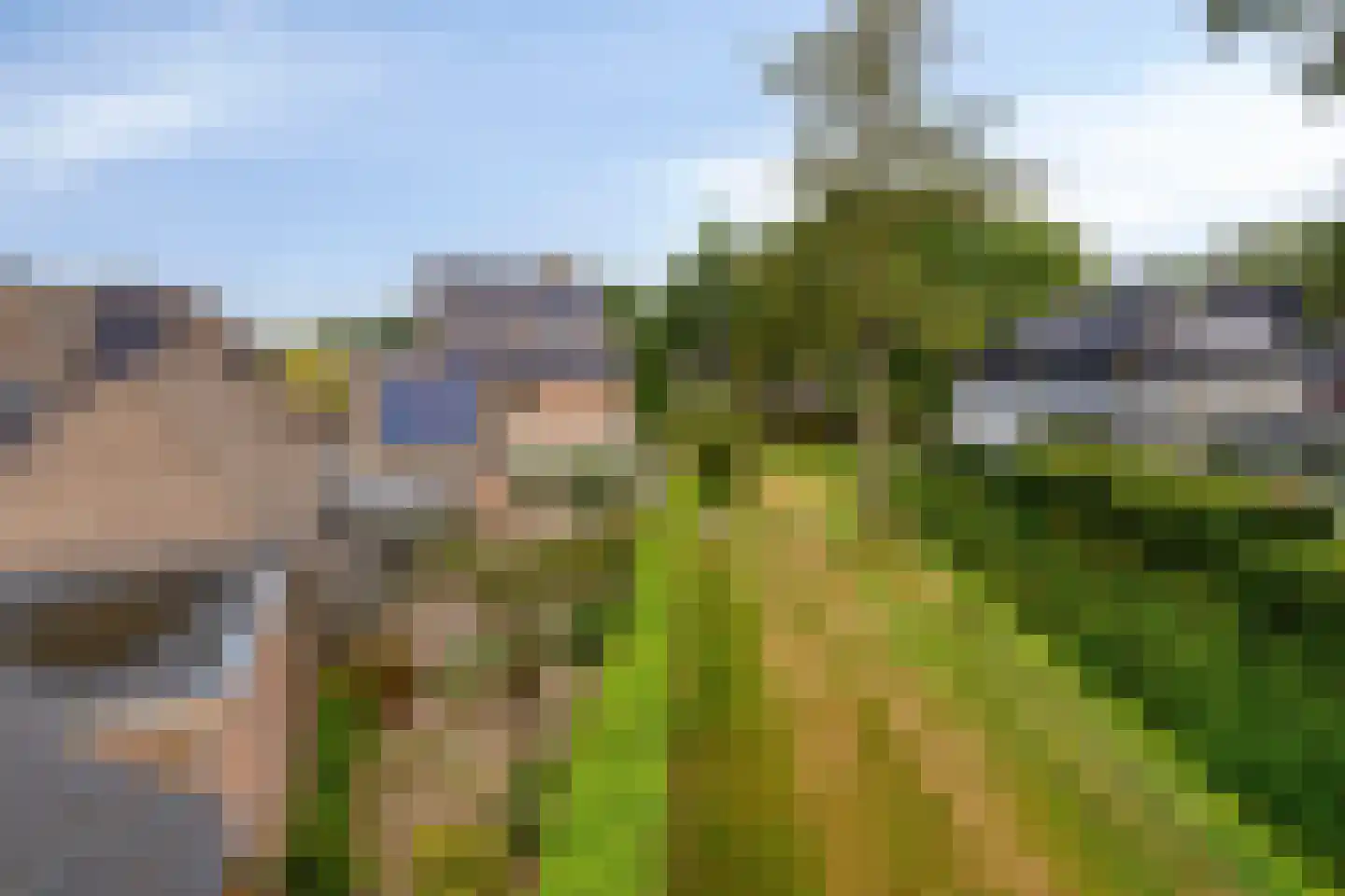 De Misse 1 Berlicum thumbnail 33