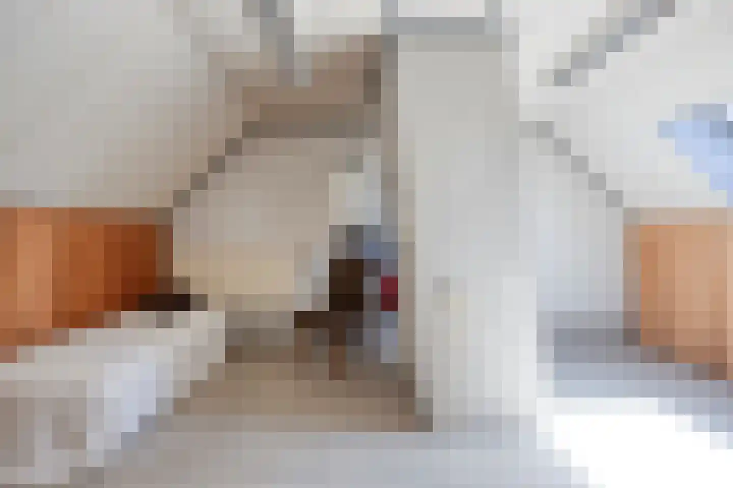 De Misse 1 Berlicum thumbnail 34