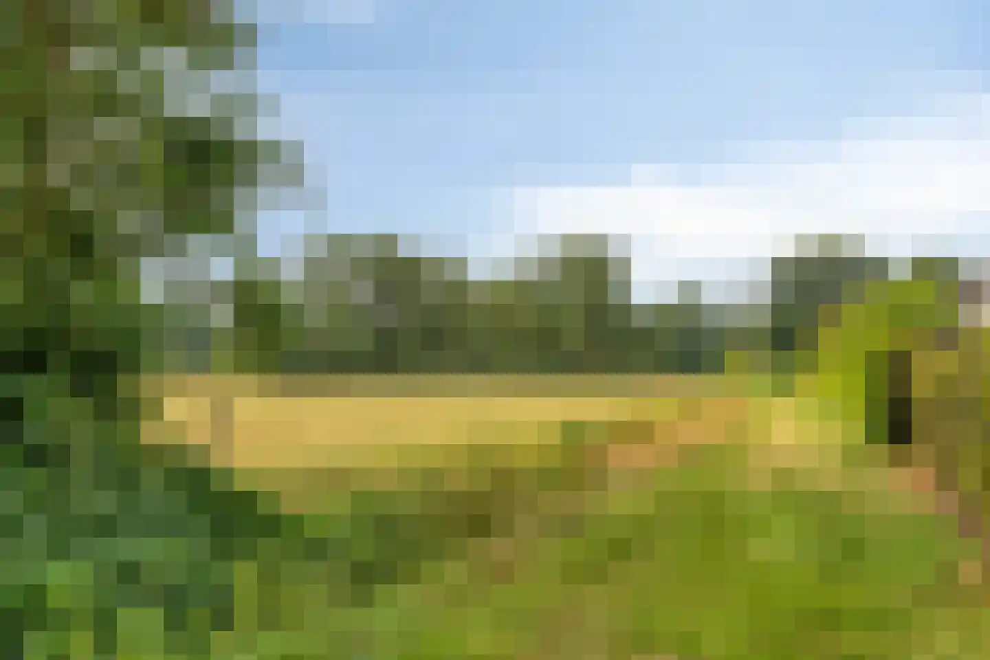 De Misse 1 Berlicum thumbnail 37