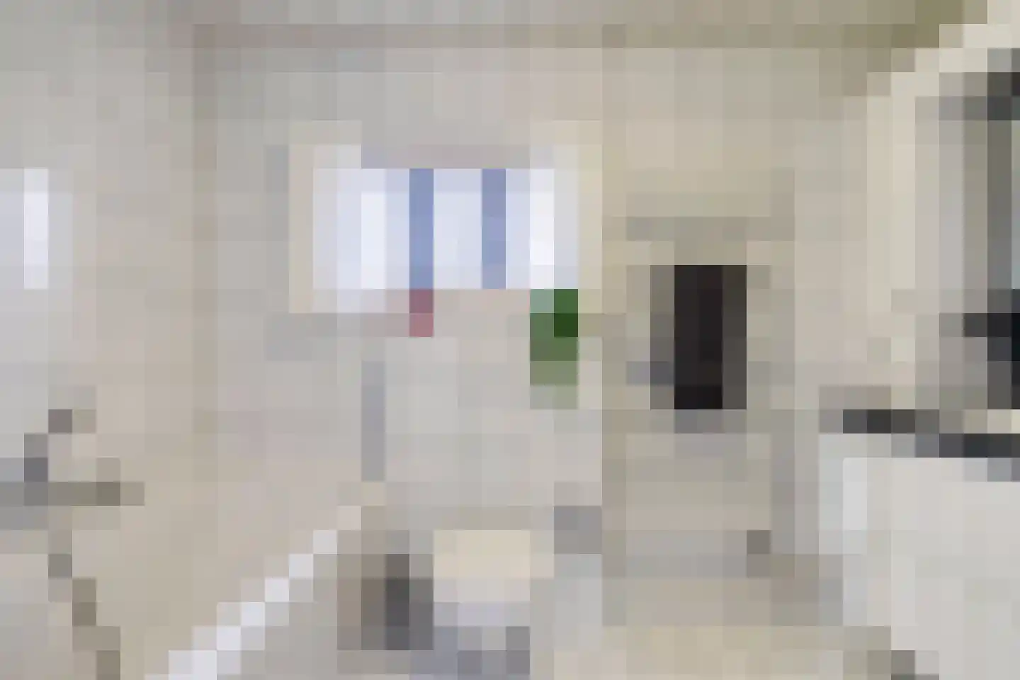 De Misse 1 Berlicum thumbnail 38