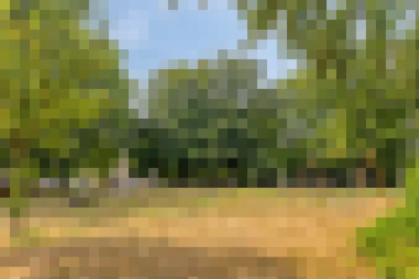 De Misse 1 Berlicum thumbnail 38