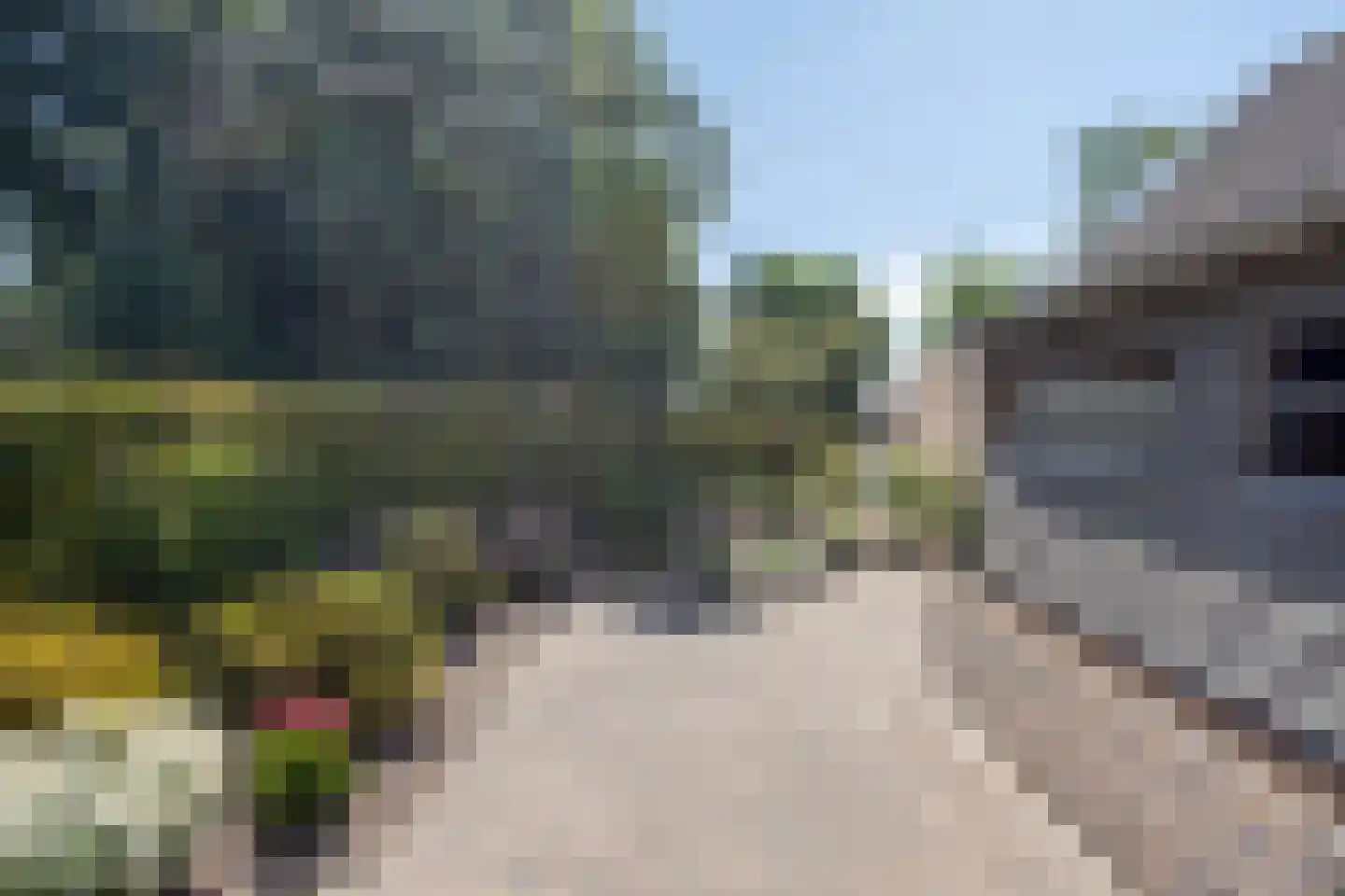 De Misse 1 Berlicum thumbnail 38