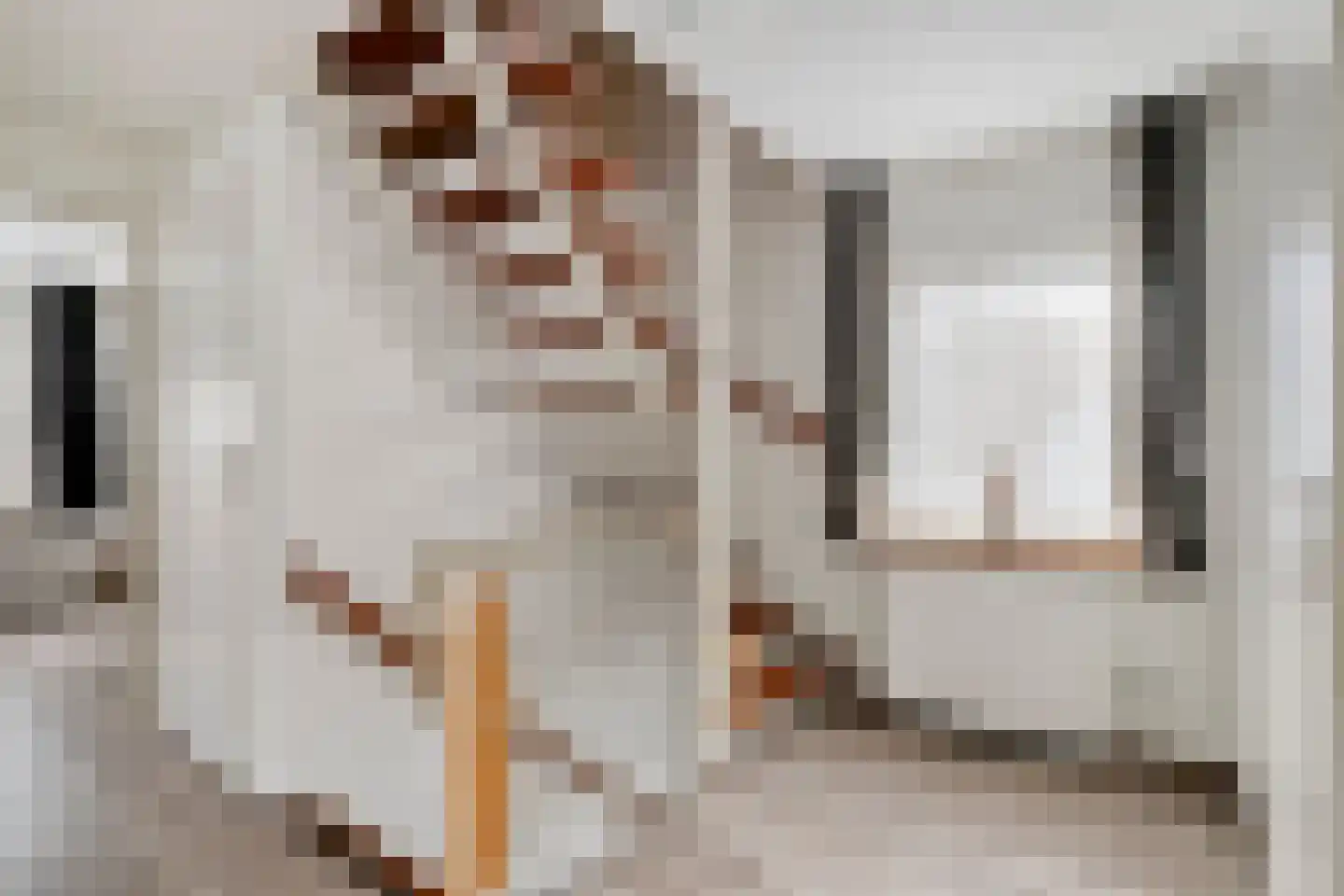 De Misse 1 Berlicum thumbnail 41