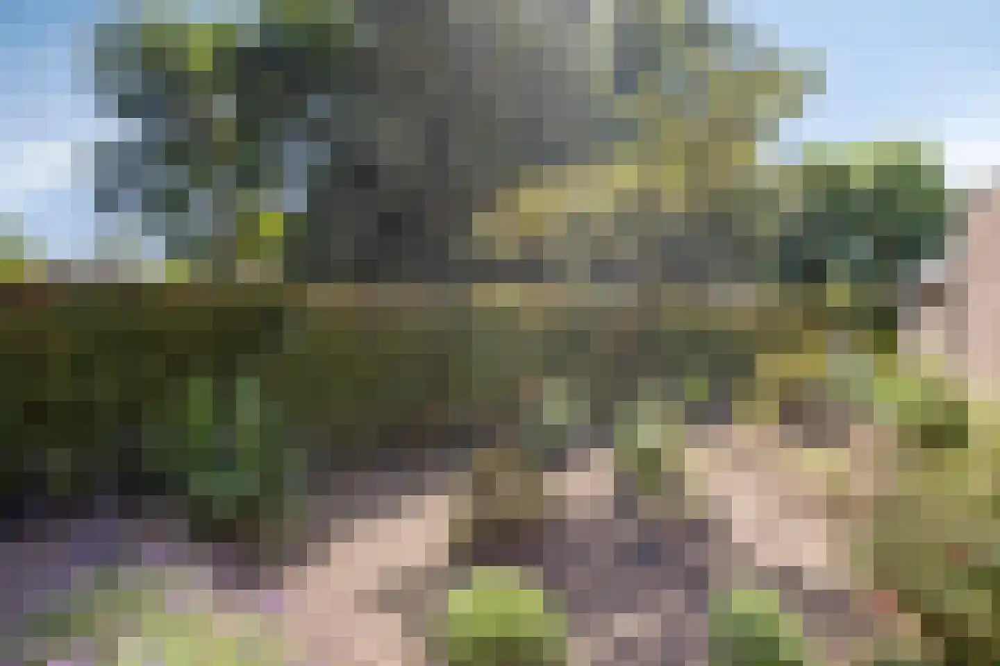 De Misse 1 Berlicum thumbnail 41