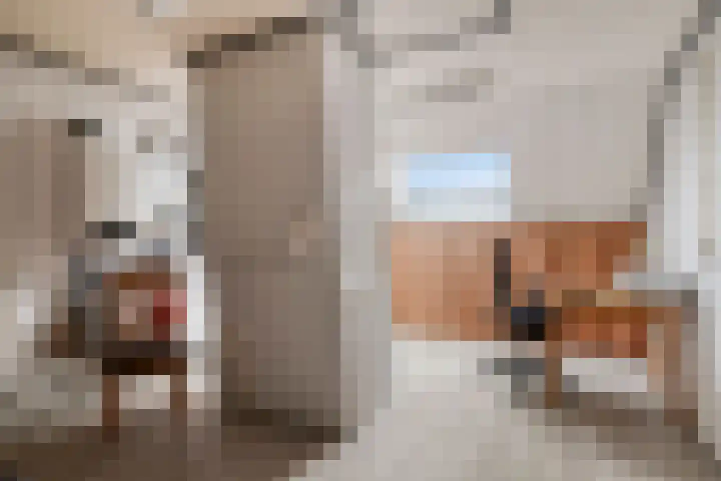 De Misse 1 Berlicum thumbnail 44