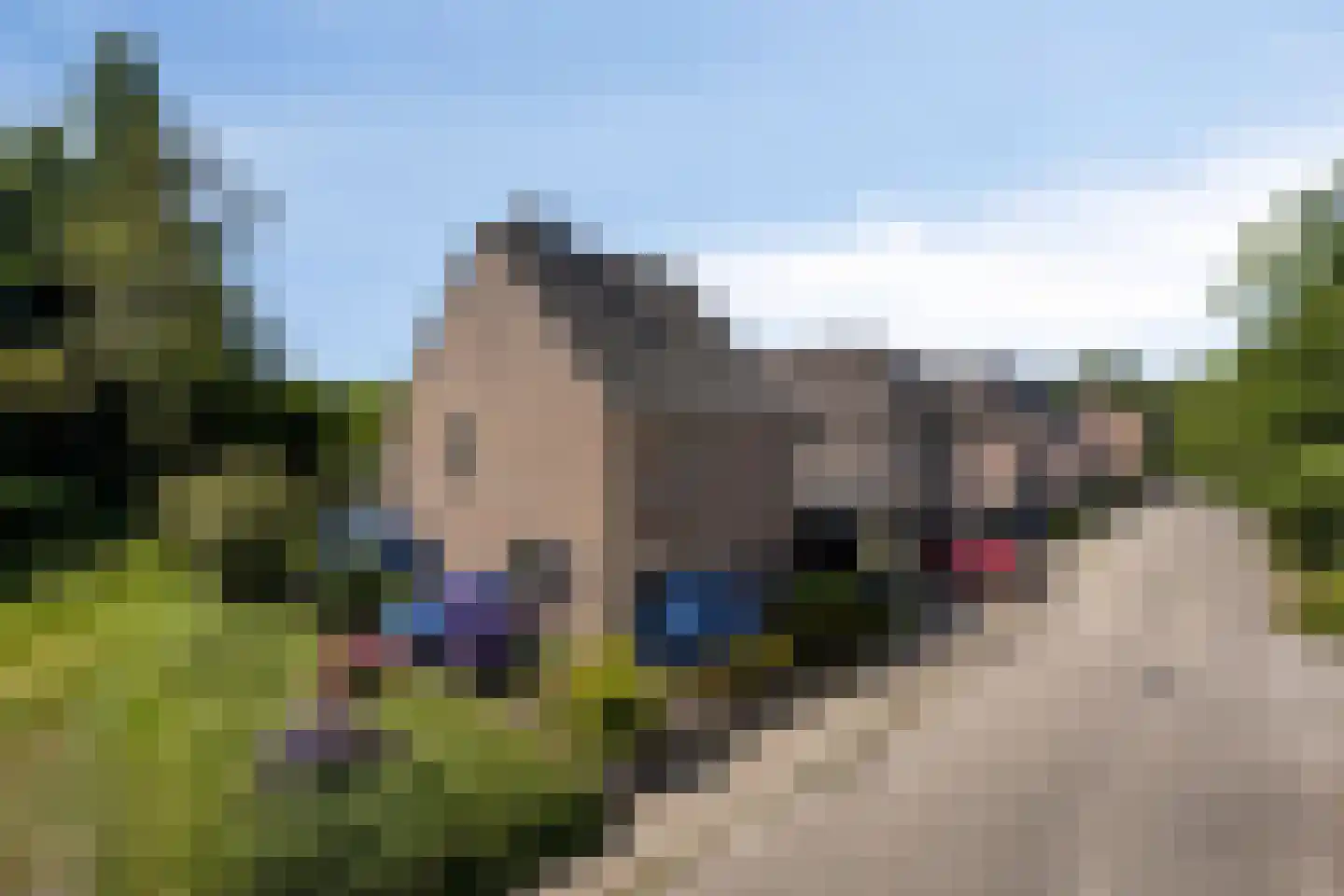 De Misse 1 Berlicum thumbnail 45