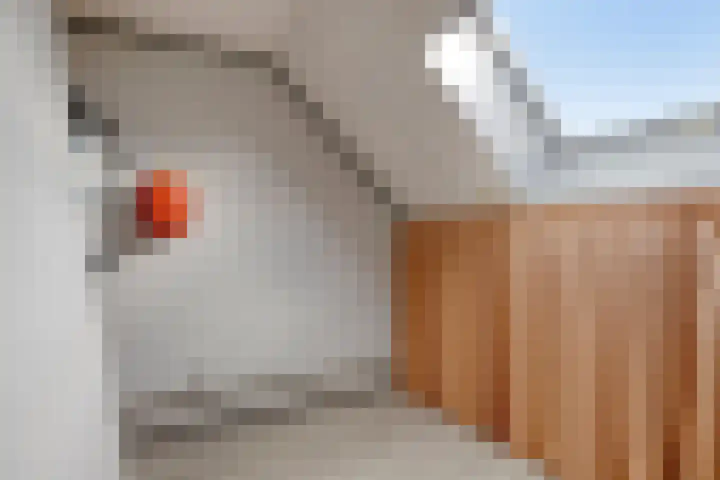 De Misse 1 Berlicum thumbnail 45
