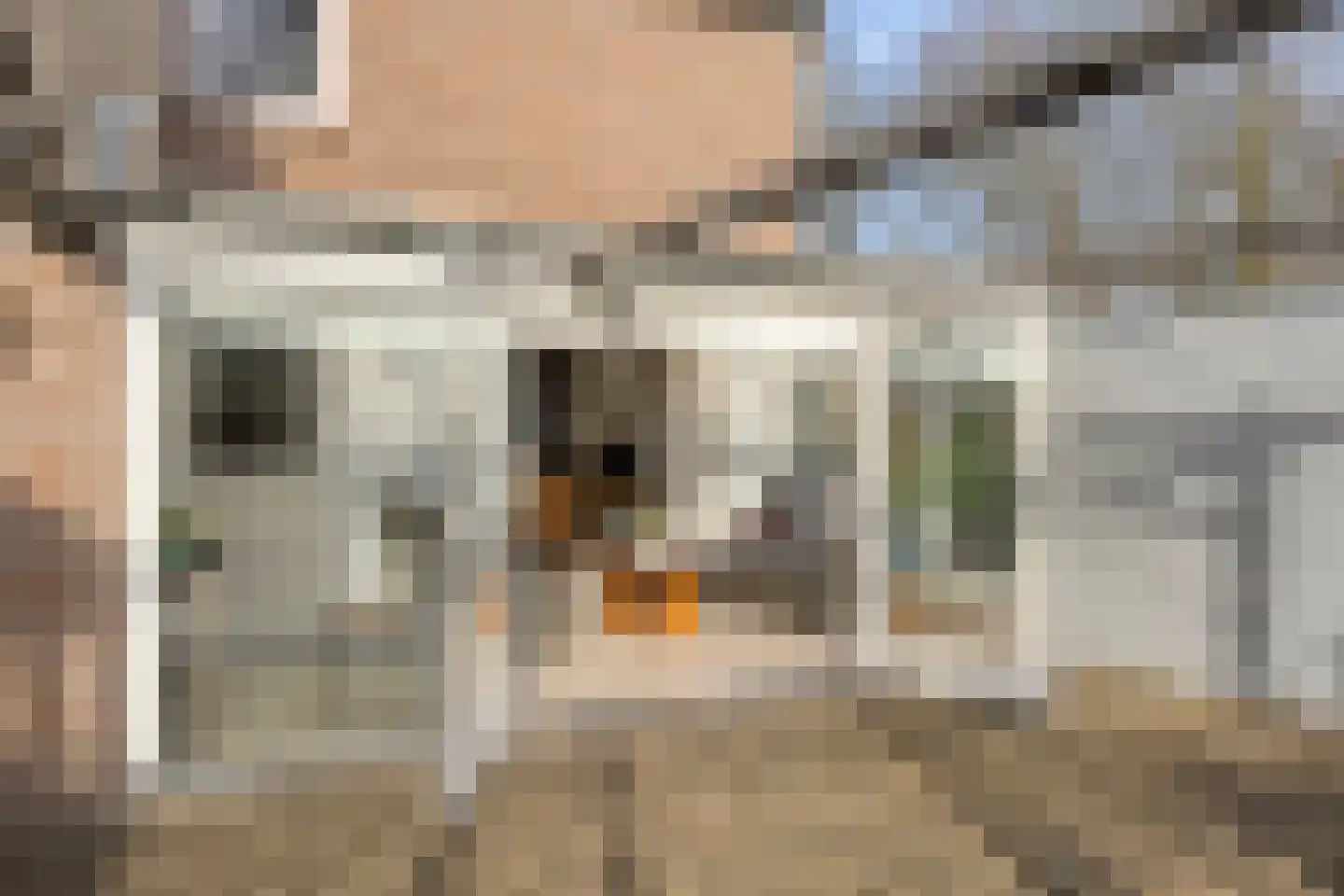 De Misse 1 Berlicum thumbnail 47