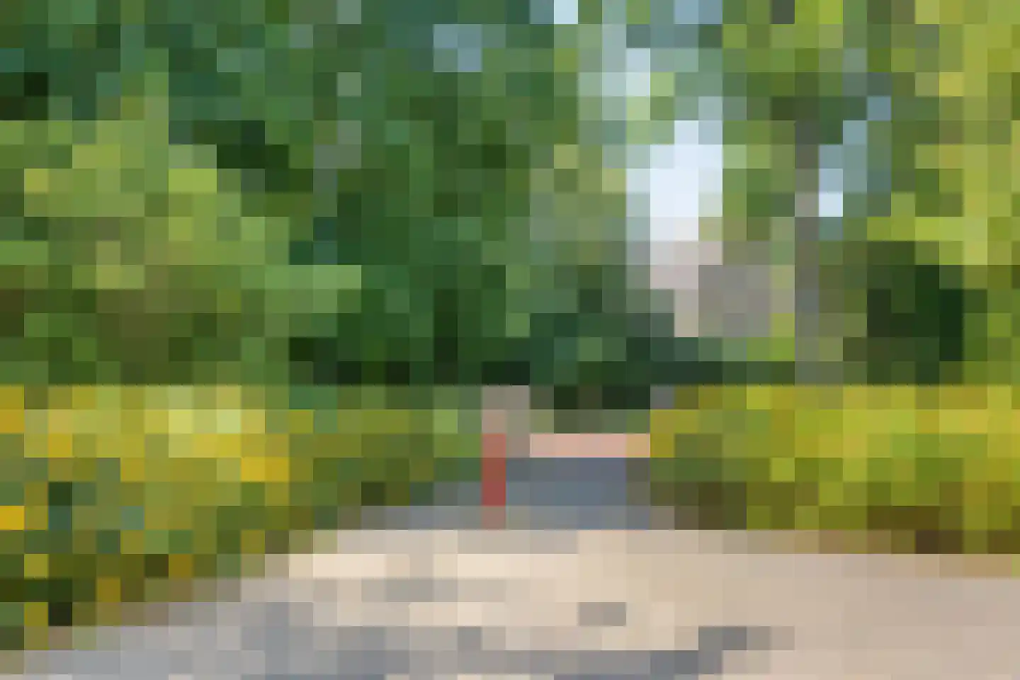 De Misse 1 Berlicum thumbnail 48