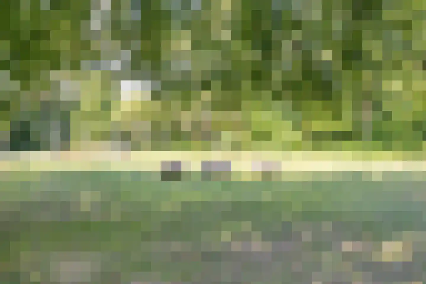 De Misse 1 Berlicum thumbnail 49