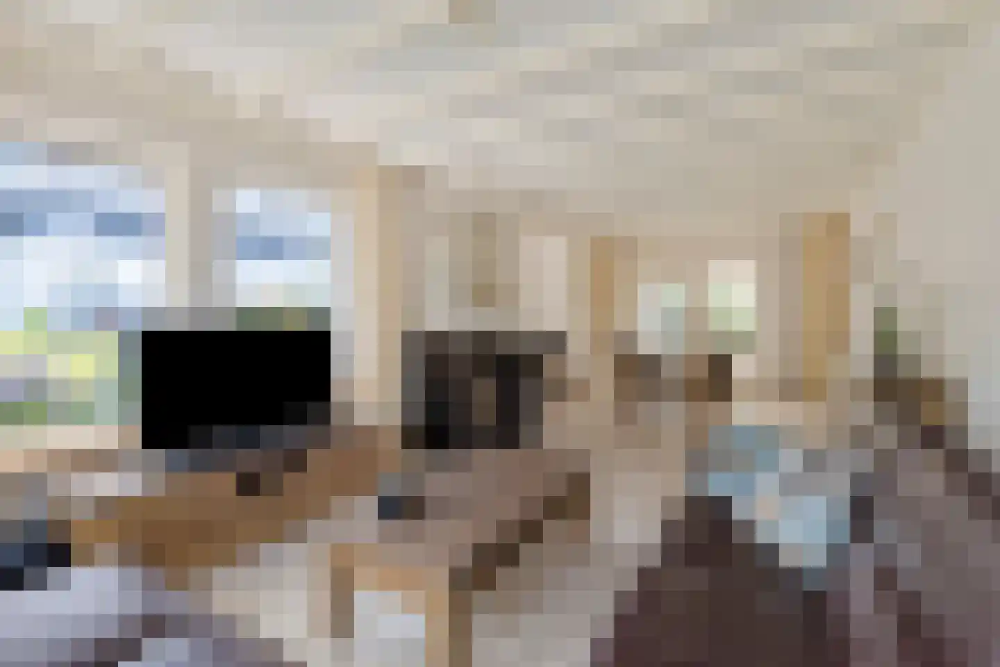 De Misse 1 Berlicum thumbnail 5