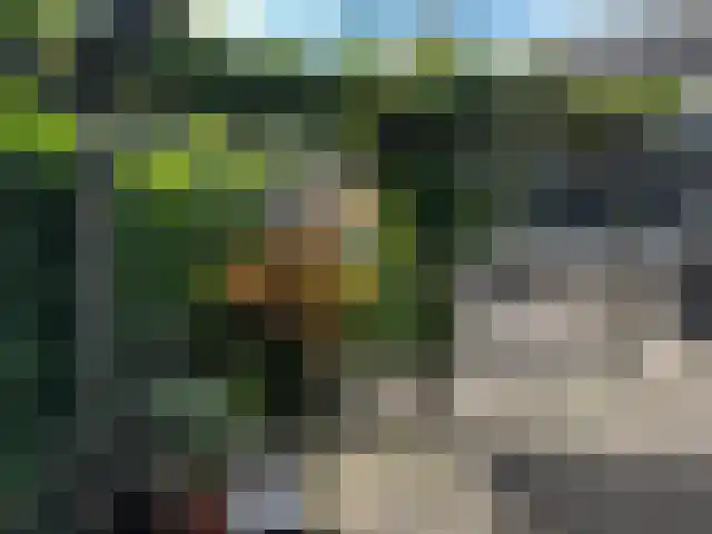 De Misse 1 Berlicum thumbnail 50