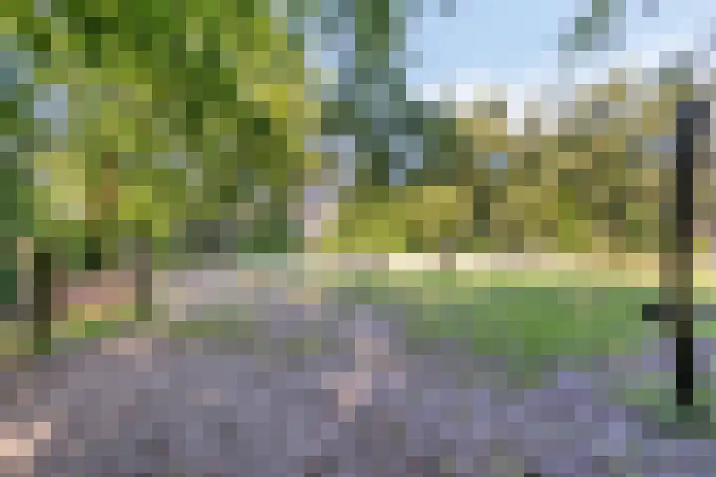 De Misse 1 Berlicum thumbnail 50