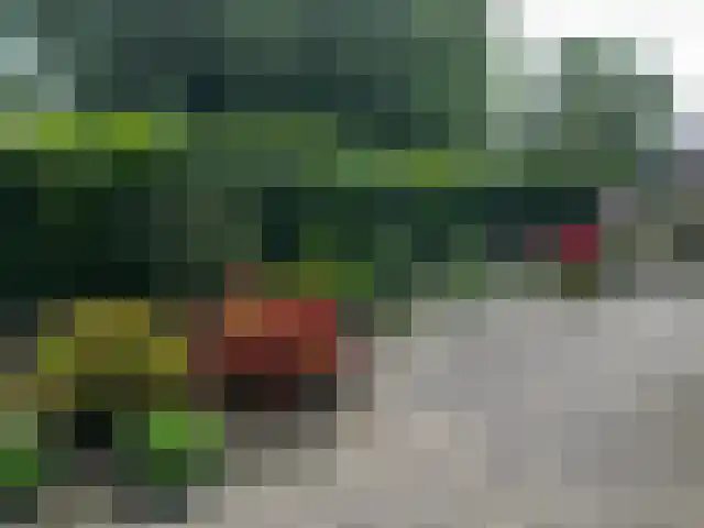 De Misse 1 Berlicum thumbnail 51