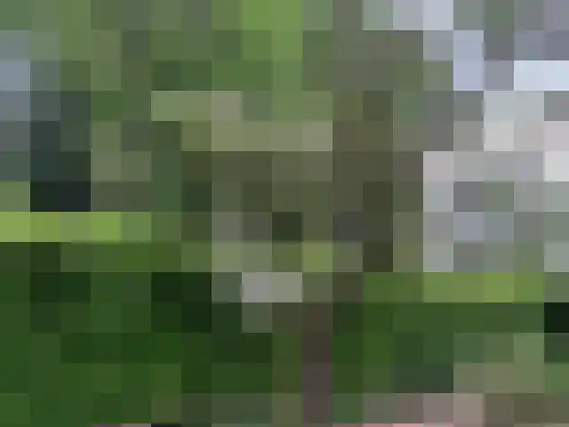 De Misse 1 Berlicum thumbnail 54