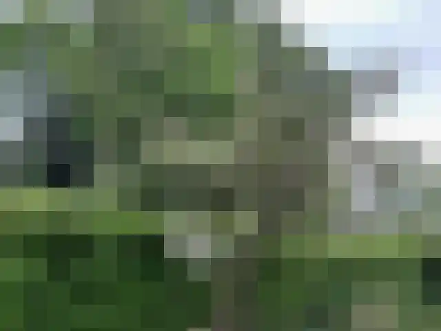 De Misse 1 Berlicum thumbnail 55