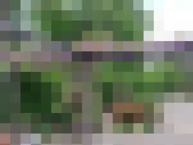 De Misse 1 Berlicum thumbnail 56