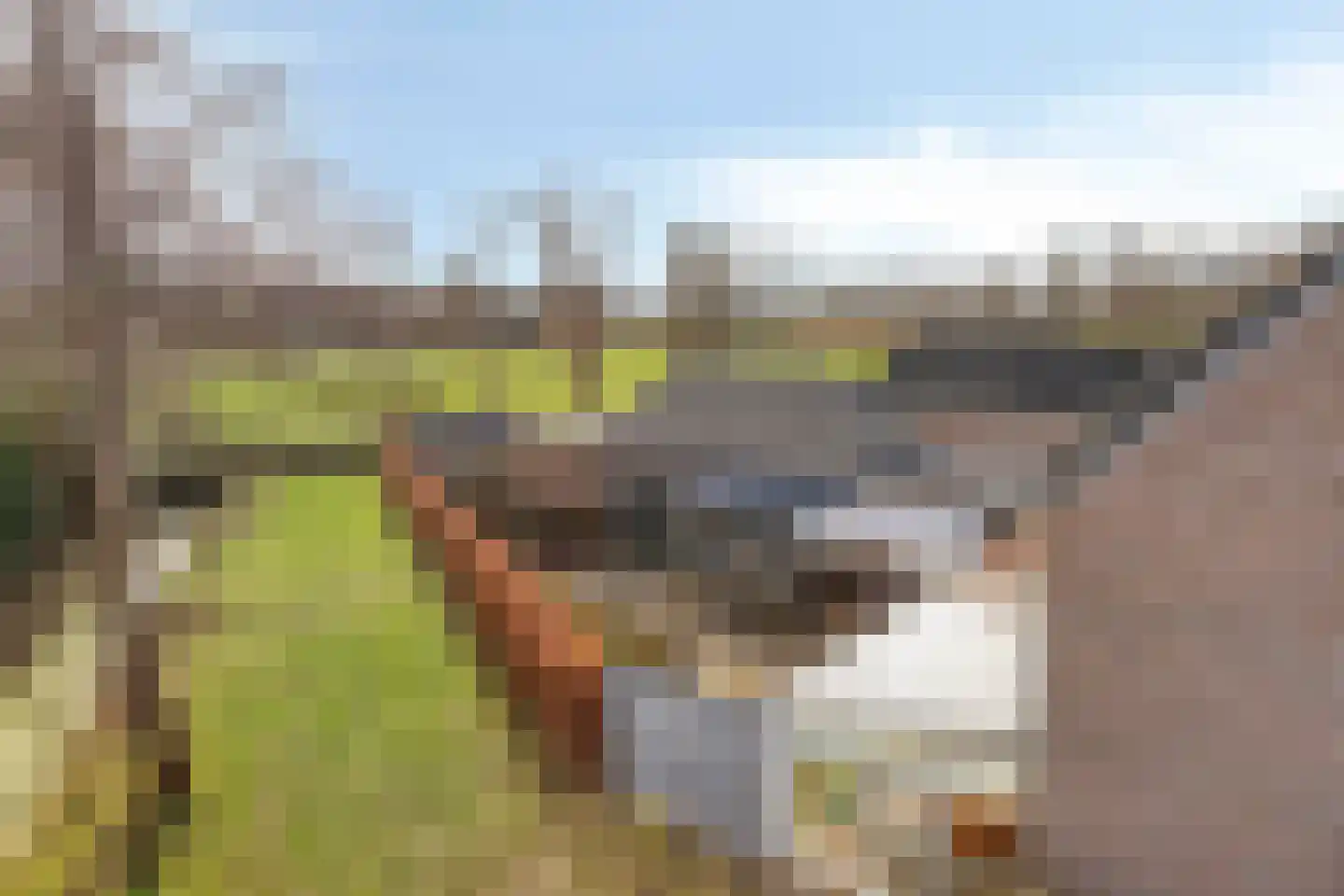 De Misse 1 Berlicum thumbnail 64