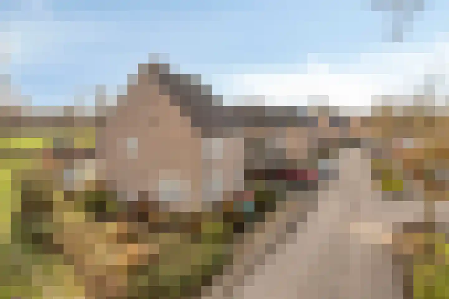 De Misse 1 Berlicum thumbnail 68