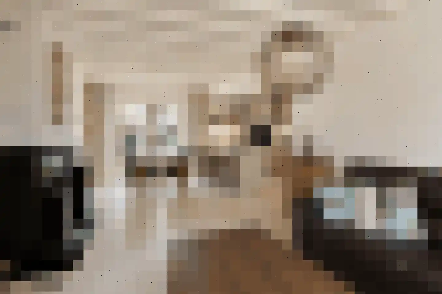 De Misse 1 Berlicum thumbnail 7
