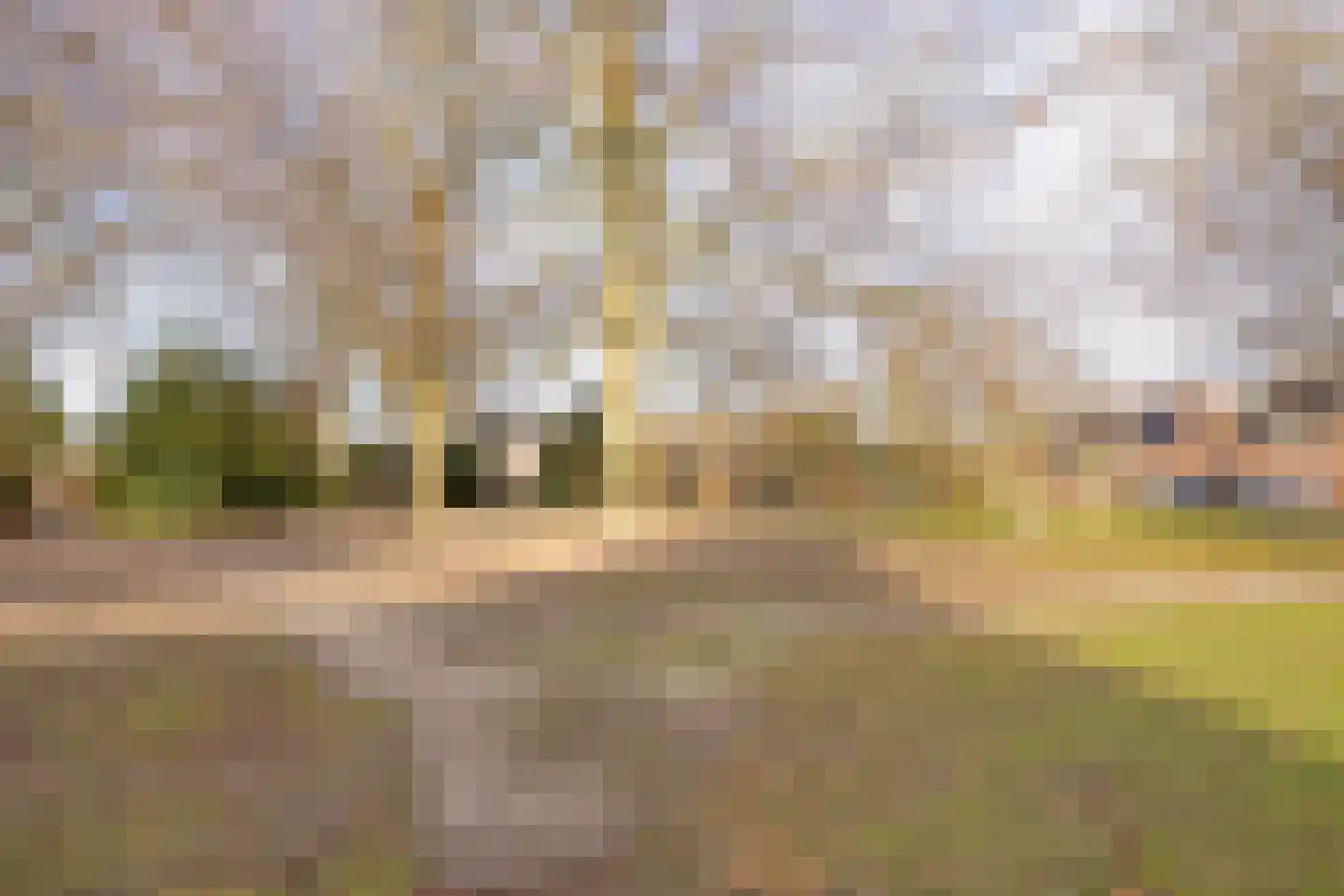 De Misse 1 Berlicum thumbnail 71