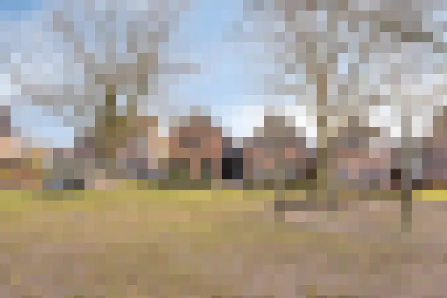 De Misse 1 Berlicum thumbnail 73