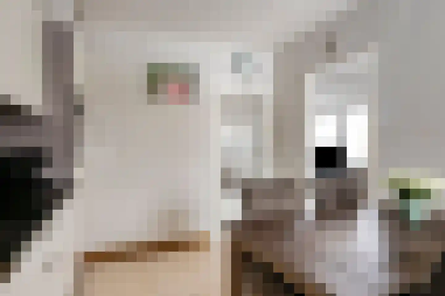 De Misse 1 Berlicum thumbnail 8