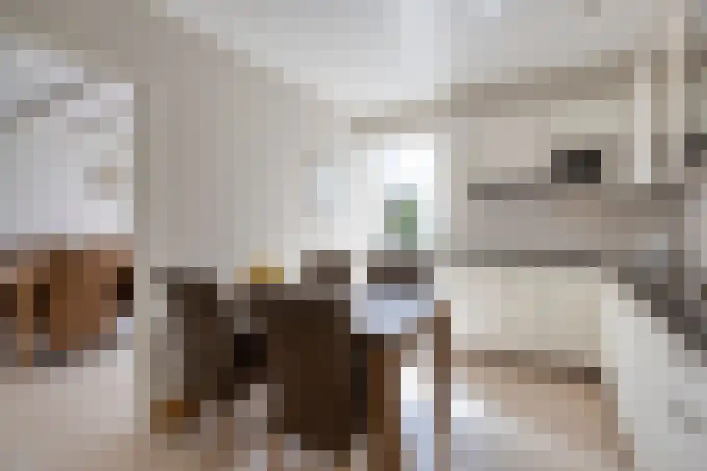 De Misse 1 Berlicum thumbnail 9