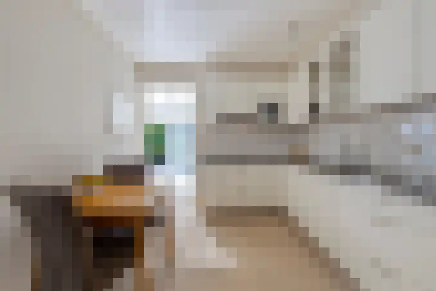 De Misse 1 Berlicum thumbnail 9