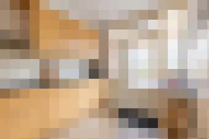 De Misse 12 Berlicum thumbnail 15