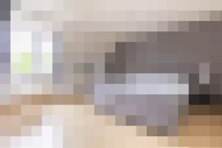 De Misse 12 Berlicum thumbnail 24
