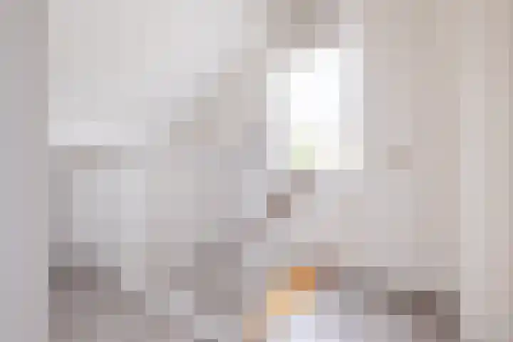 De Misse 12 Berlicum thumbnail 33