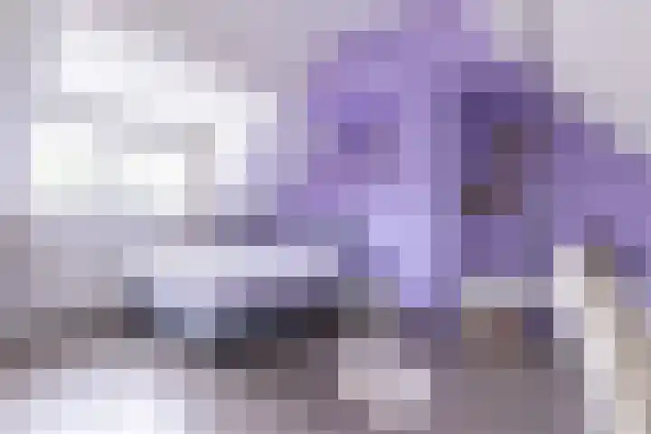 De Misse 12 Berlicum thumbnail 34