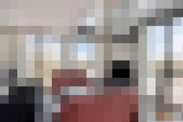 De Misse 129 Uden thumbnail 10